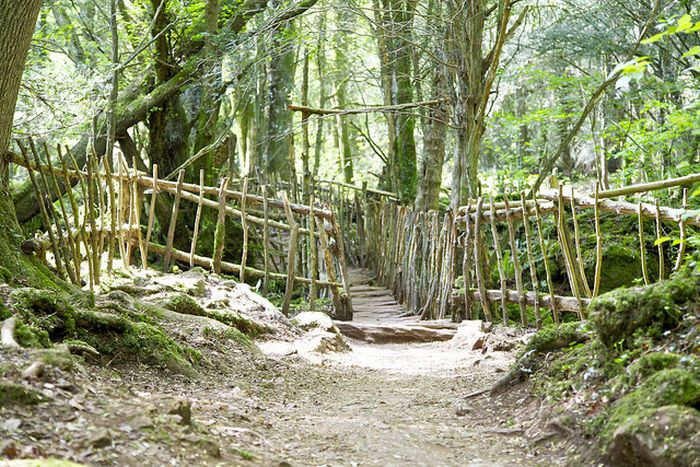 Puzzlewood, Coleford in the Forest of Dean, Gloucestershire, England, United Kingdom