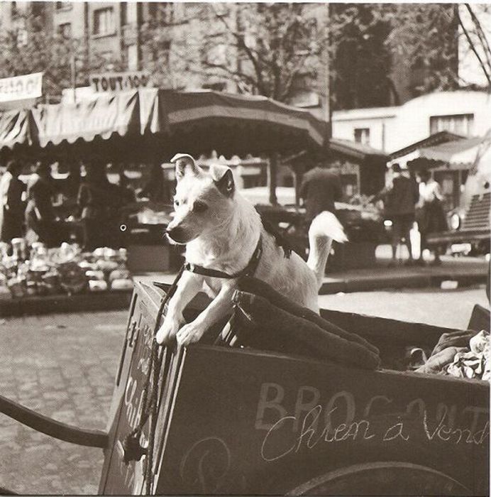 History: Old photos of Paris, 1900, France