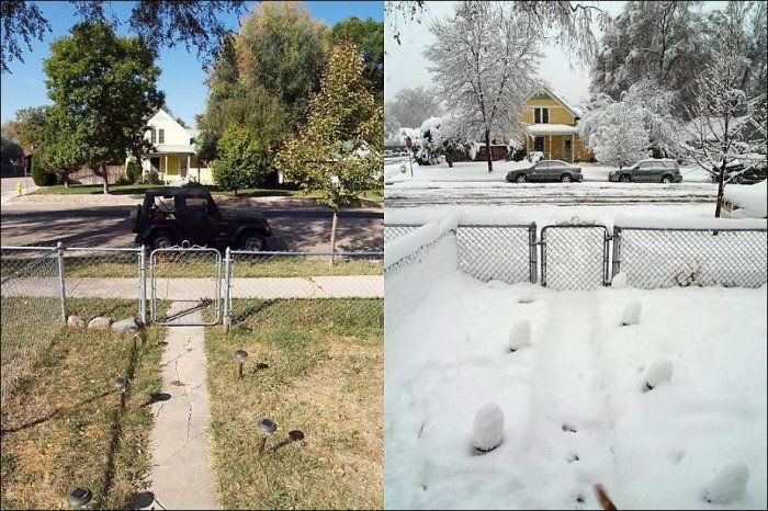 summer vs. winter photo