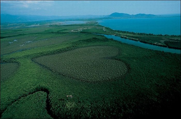 bird's-eye view aerial landscape photography