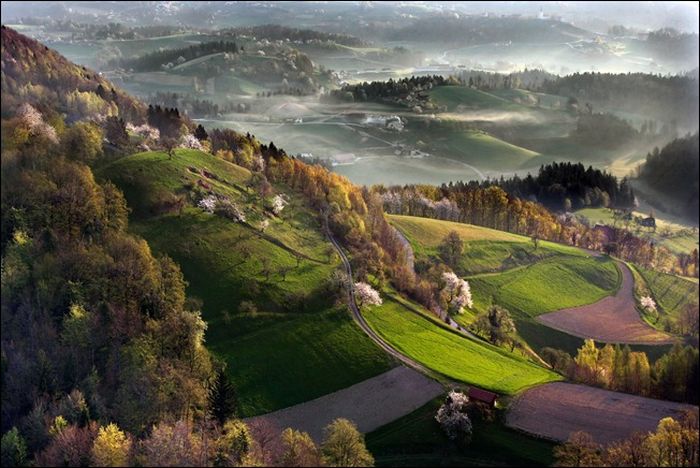 bird's-eye view aerial landscape photography