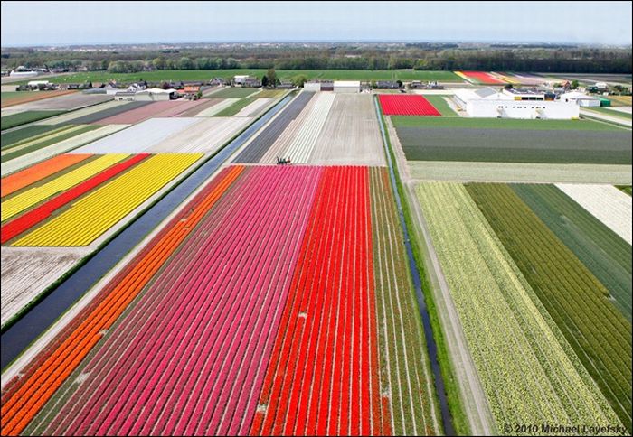 bird's-eye view aerial landscape photography