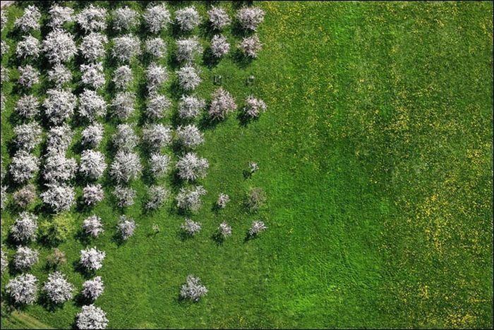 bird's-eye view aerial landscape photography