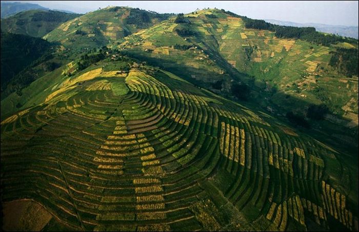 bird's-eye view aerial landscape photography