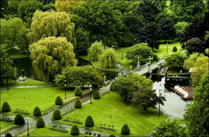 bird's-eye view aerial landscape photography