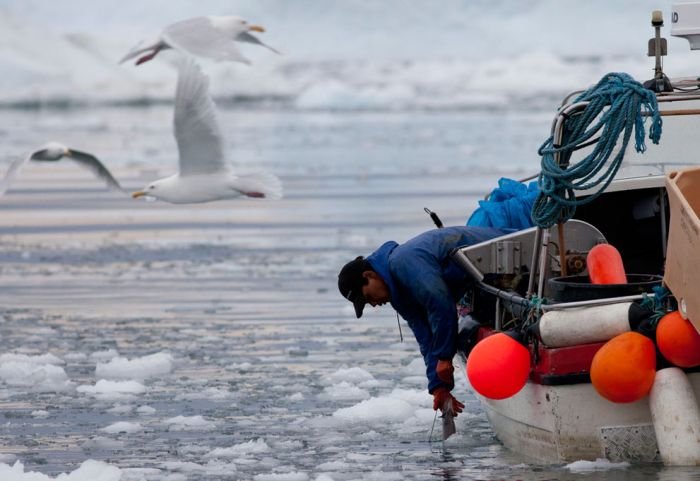 Greenland