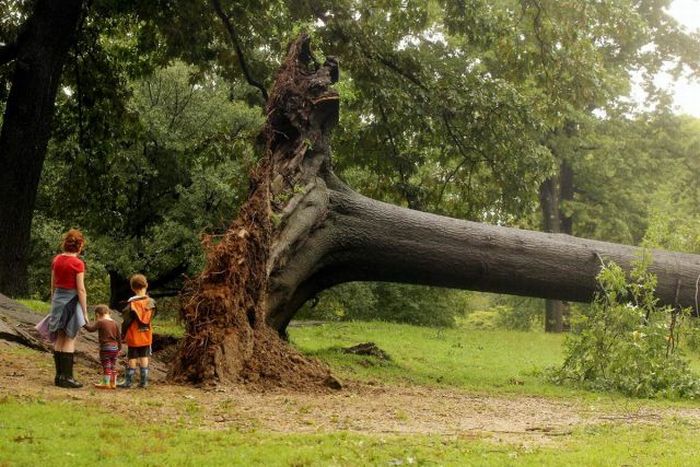 Hurricane Irene 2011, Atlantic, Caribbean