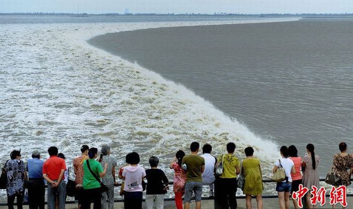 World's larges tidal bore, 9 metres (30 ft) high, Qiantang River, China