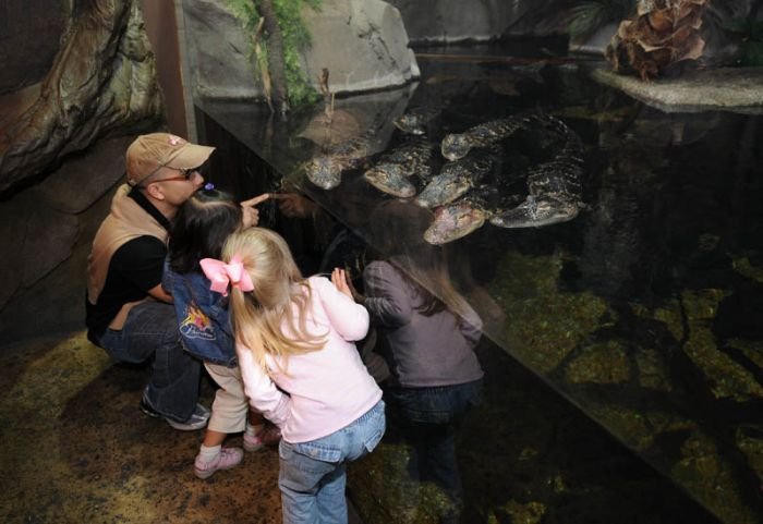 Georgia Aquarium, Pemberton Place, Atlanta, Georgia, United States