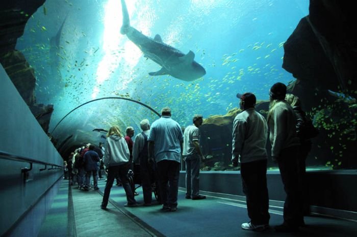 Georgia Aquarium, Pemberton Place, Atlanta, Georgia, United States