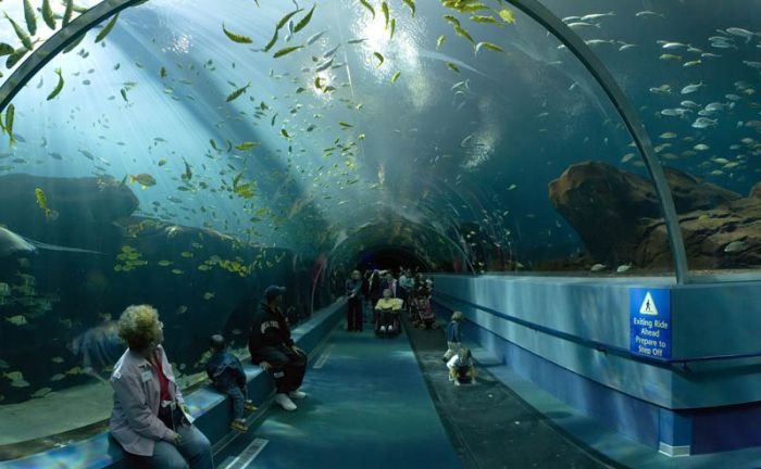 Georgia Aquarium, Pemberton Place, Atlanta, Georgia, United States