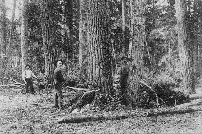 History: Photos of American pioneers, United States