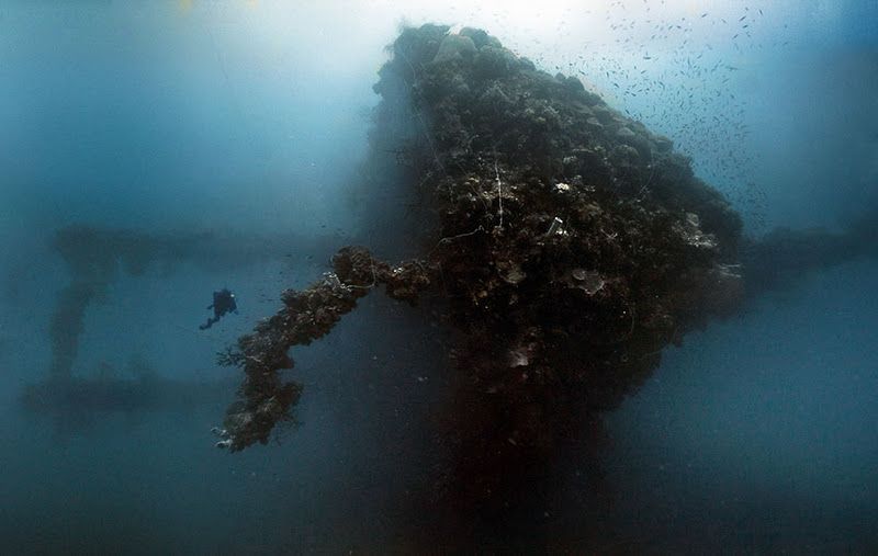 Fujikawa Maru, Truk Lagoon, Chuuk, Pacific, North of New Guinea