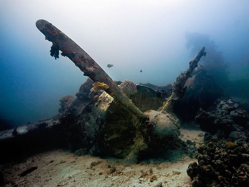 Fujikawa Maru, Truk Lagoon, Chuuk, Pacific, North of New Guinea