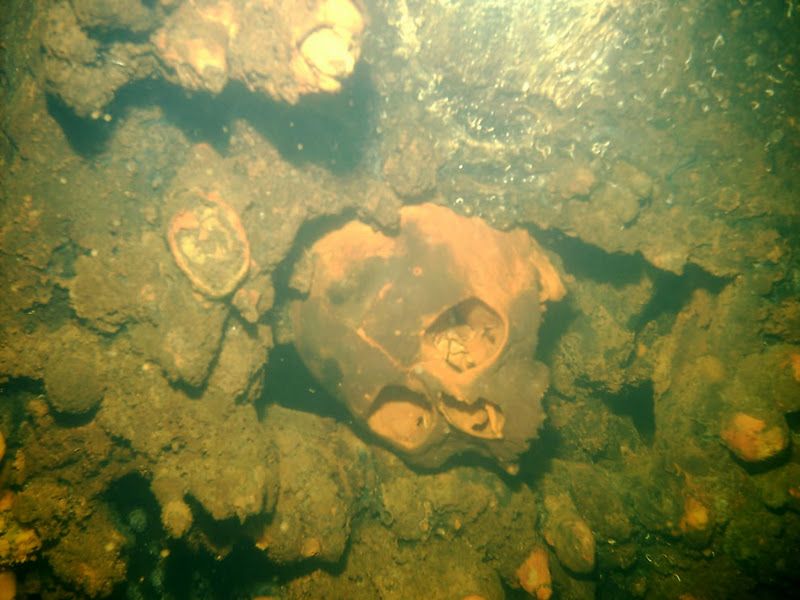 Fujikawa Maru, Truk Lagoon, Chuuk, Pacific, North of New Guinea