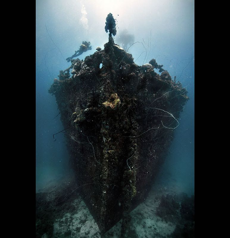 Fujikawa Maru, Truk Lagoon, Chuuk, Pacific, North of New Guinea