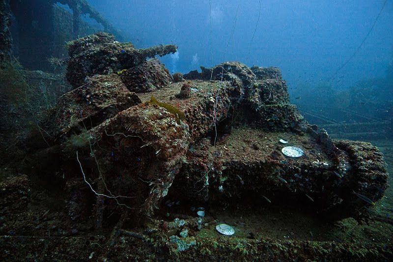 Fujikawa Maru, Truk Lagoon, Chuuk, Pacific, North of New Guinea