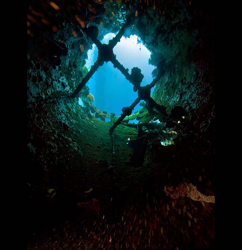 Fujikawa Maru, Truk Lagoon, Chuuk, Pacific, North of New Guinea