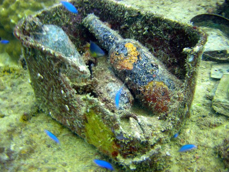 Fujikawa Maru, Truk Lagoon, Chuuk, Pacific, North of New Guinea