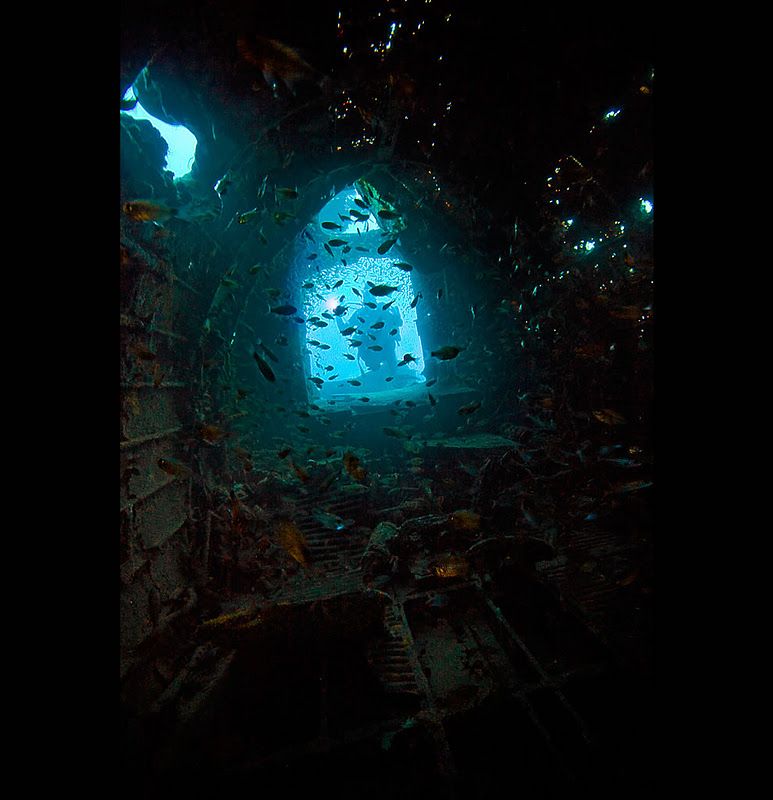 Fujikawa Maru, Truk Lagoon, Chuuk, Pacific, North of New Guinea