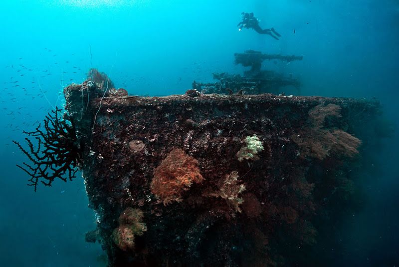 Fujikawa Maru, Truk Lagoon, Chuuk, Pacific, North of New Guinea