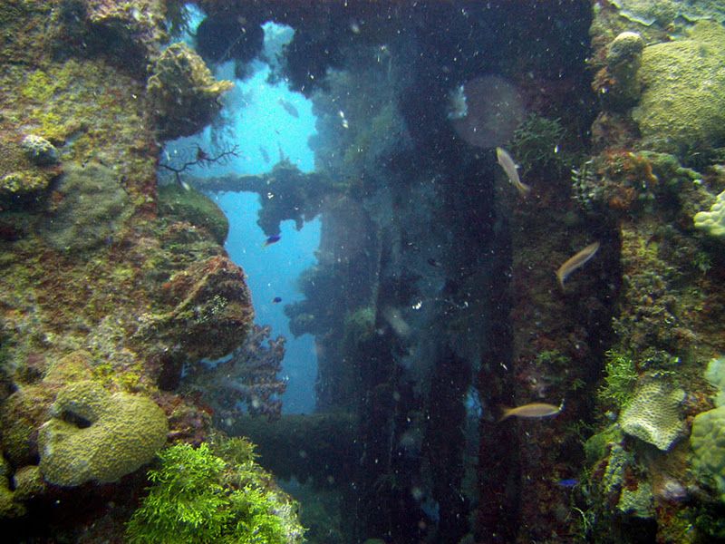 Fujikawa Maru, Truk Lagoon, Chuuk, Pacific, North of New Guinea