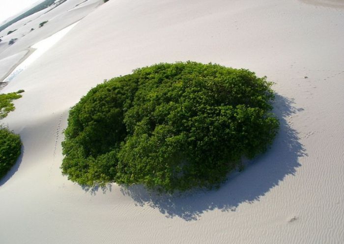 Lençóis Maranhenses National Park, Maranhão, Brazil