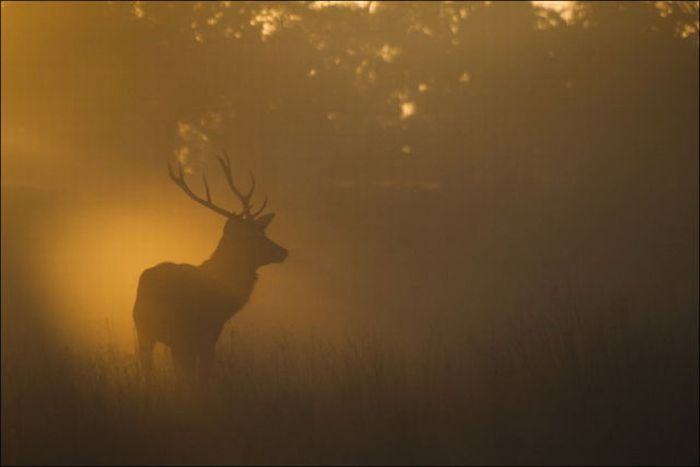 autumn world