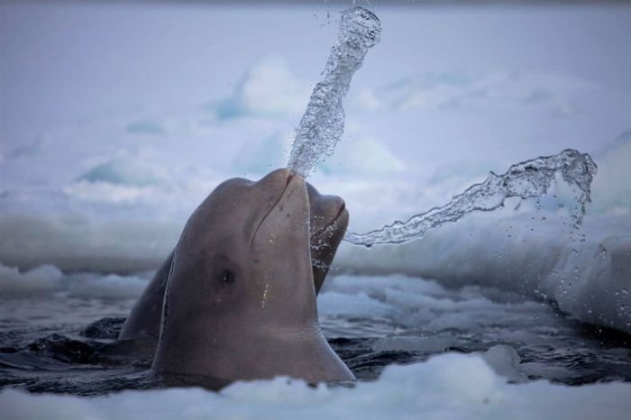 National Geographic Photography