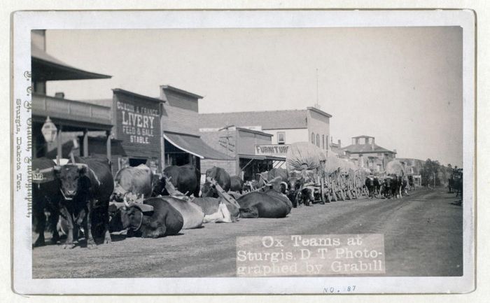 History: Wild West by John C. H. Grabill