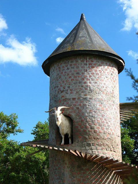 The Goat Tower, Fairview Wine and Cheese farm, Paarl winelands of South Africa