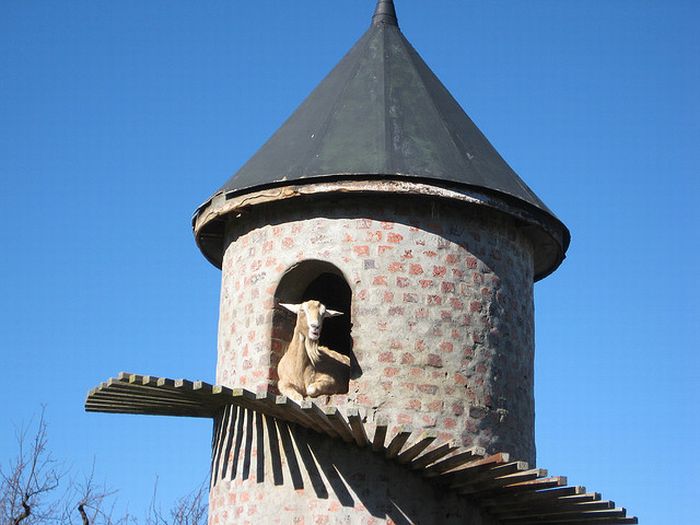 The Goat Tower, Fairview Wine and Cheese farm, Paarl winelands of South Africa