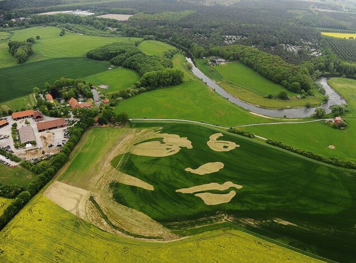 bird's-eye view aerial landscape photography