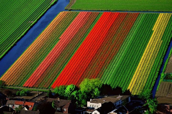 bird's-eye view aerial landscape photography