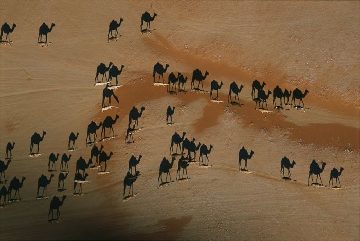 bird's-eye view aerial landscape photography