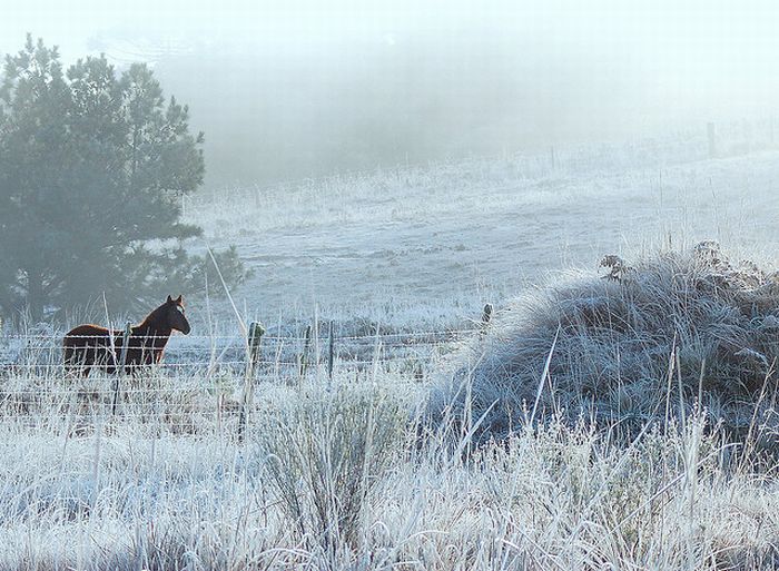 winter photography