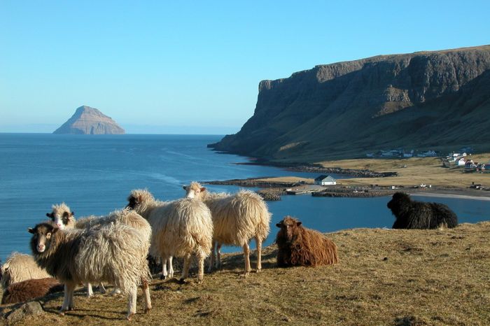 Lítla Dímun, Faroe Islands, Norwegian Sea