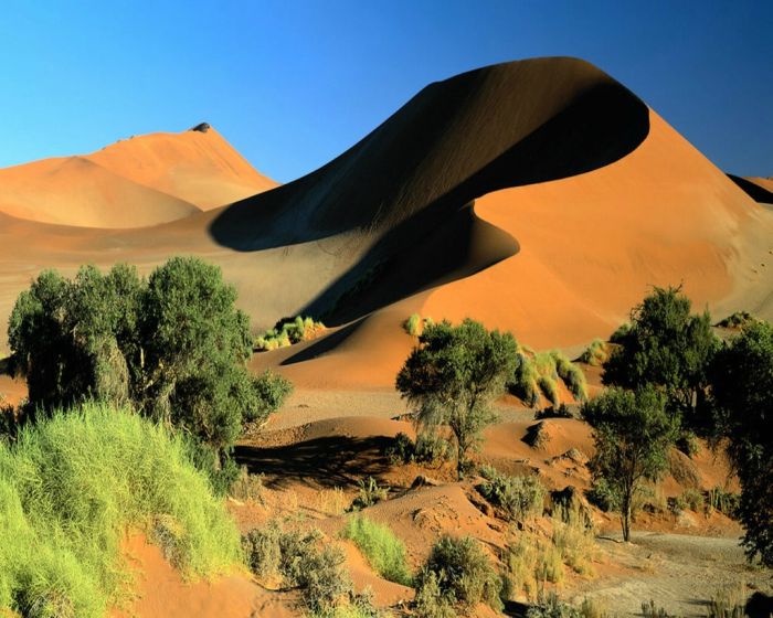 desert sand dunes landscape photography