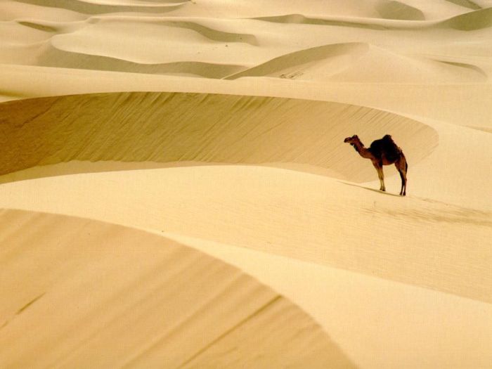 desert sand dunes landscape photography