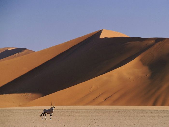 desert sand dunes landscape photography