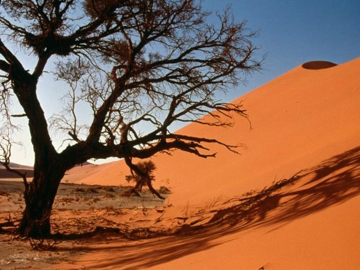 desert sand dunes landscape photography