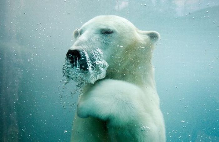 National Geographic Photography