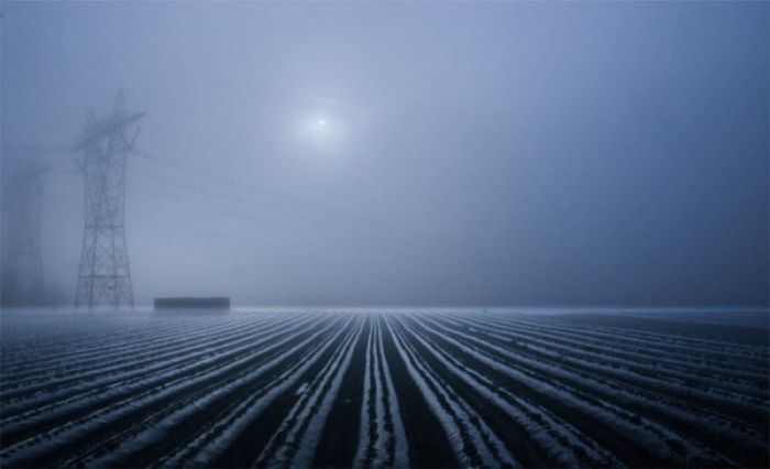 fog photography