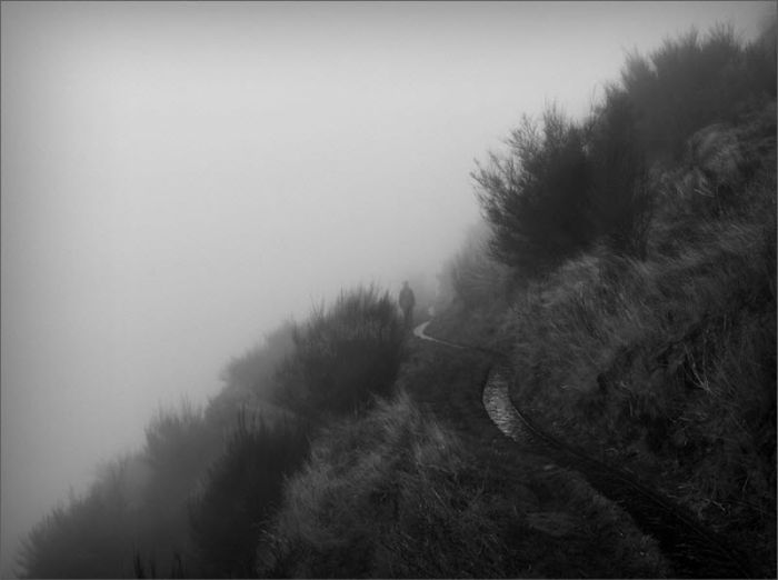 fog photography