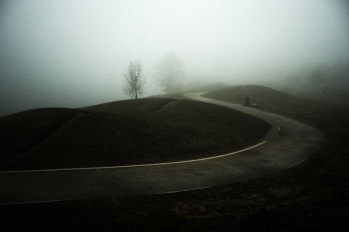 fog photography