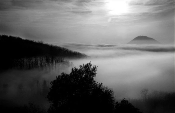 fog photography