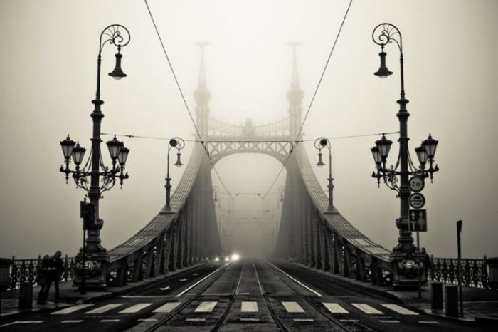 fog photography