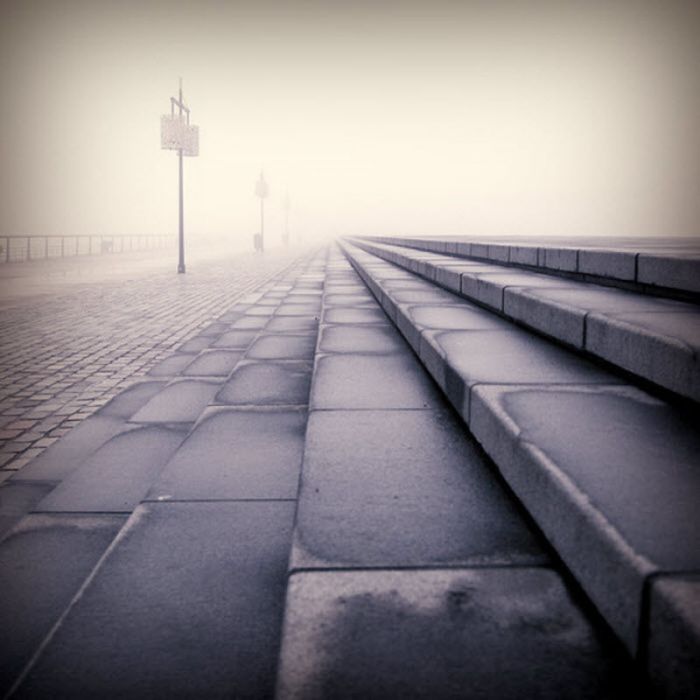 fog photography