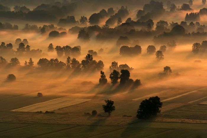 fog photography