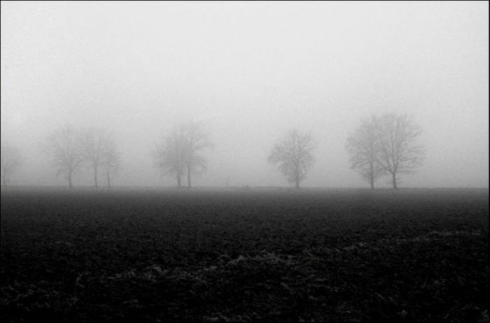 fog photography